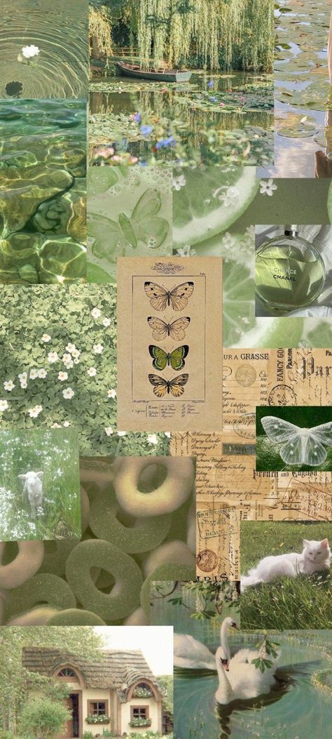 Mint Green Aesthetic Collage, Cute Light Green Wallpaper Aesthetic, Green Fairy Wallpaper Aesthetic, Light Green Phone Wallpaper Aesthetic, Light Green Aesthetic Collage, Green Plant Aesthetic Wallpaper, Light Mint Green Aesthetic, Fairy Green Wallpaper, Luvsoft Green