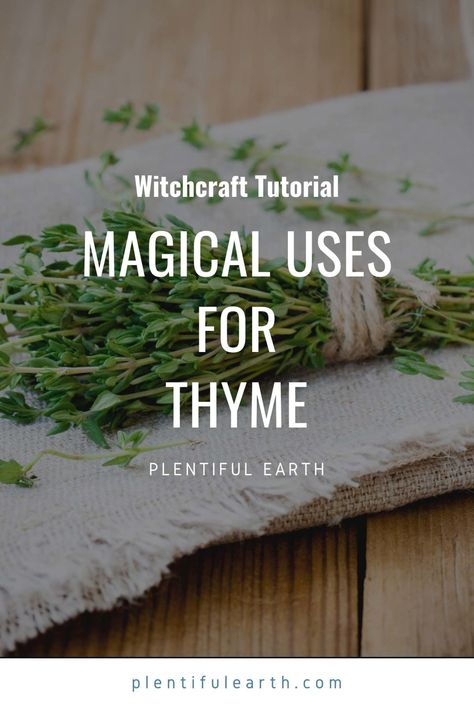 Spiritual Uses Of Thyme, Magical Properties Of Thyme, Thyme Magical Properties, Earth Spirituality, Thyme Benefits, Thyme Uses, Herb Magick, Witches Garden, Thyme Plant