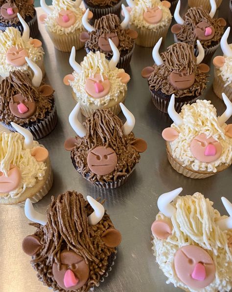 Longhorn Cow Cupcakes, Highland Cow Cupcakes, Cow Cupcake Toppers, Country Cupcakes, Cow Things, Cow Cupcakes, Clothes Country, Beautiful Baking, Fluffy Cow