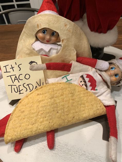 Taco Tuesday Elf on the Shelf Elf On Shelf Taco Tuesday, Elf Taco Tuesday, Elf On The Shelf Taco Tuesday, Taco Tuesday Elf On The Shelf, Elf 2023, Classroom Elf, Elf Of The Shelf, Christmas Elf Ideas, Elf Antics