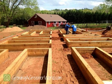 Indoor Vegetables, Building Raised Garden Beds, Vegetable Garden Raised Beds, Building A Raised Garden, Indoor Vegetable Gardening, Vegetable Garden Design, Raised Bed, Easy Garden, Veggie Garden