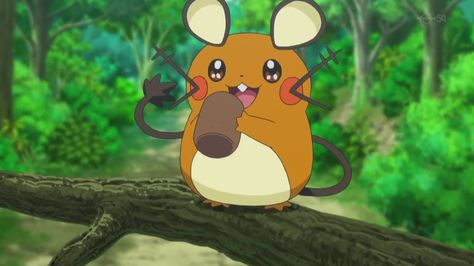 All Anime Characters, Pokémon Stuff, Pokemon Eevee, Pokemon Collection, All Pokemon, Anime Screenshots, Pokemon Fan, Little Monsters, Cute Pokemon