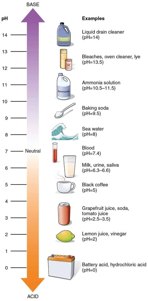 The pH of Dish Soap: How It Affects Cleaning Power and Your Skin » RusticWise Baking Soda Shampoo Recipe, Vinegar Rinse, Dirty Hippie, Baking Soda Vinegar, No Poo, Baking Soda Uses, Baking Soda Shampoo, Homeschool History, Floor Cleaning