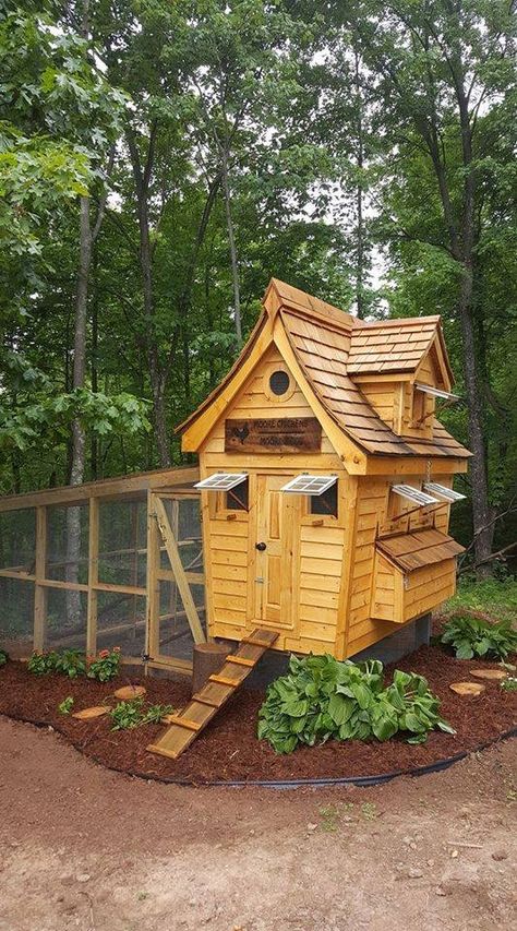 Chicken Playground Ideas, Chicken Playground, Chook House, Chicken Hut, Chicken Coups, Homestead Animals, Cute Chicken Coops, Chicken Coop Garden, Chicken Shed