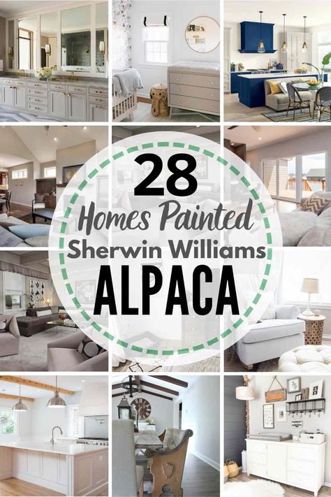 28 REAL Homes Painted Sherwin Williams Alpaca! See if this warm neutral is the right paint shade for your home! Sherwin Williams Alpaca Living Rooms, Sherwin Williams Alpaca, Alpaca Sherwin Williams, Coastal Guest Bedroom, Beach Style Bedroom, Beach House Living Room, Shiplap Accent Wall, Sherwin Williams Colors, Farm House Colors