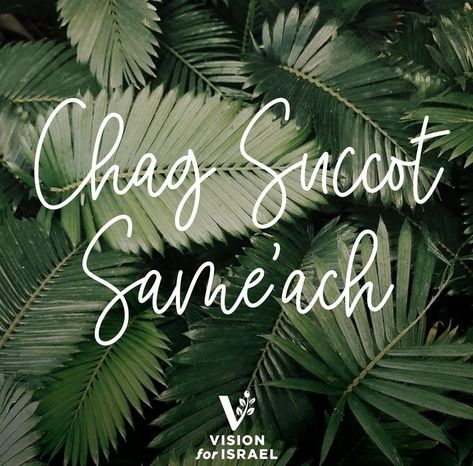 Chag Succot Sameach Chag Sameach, Leviticus 23, Feast Of Tabernacles, Palm Branch, Sukkot, Seven Days, Holiday Ideas, First Day, The Lord