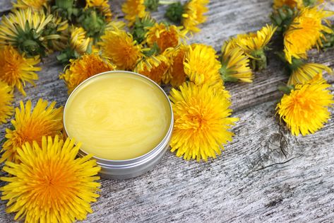 Homemade Salve Recipes, Dandelion Salve, Herbal Salve Recipes, Arnica Salve, Comfrey Salve, Homemade Salve, Calendula Salve, Bees Wax Wraps, Chapped Hands