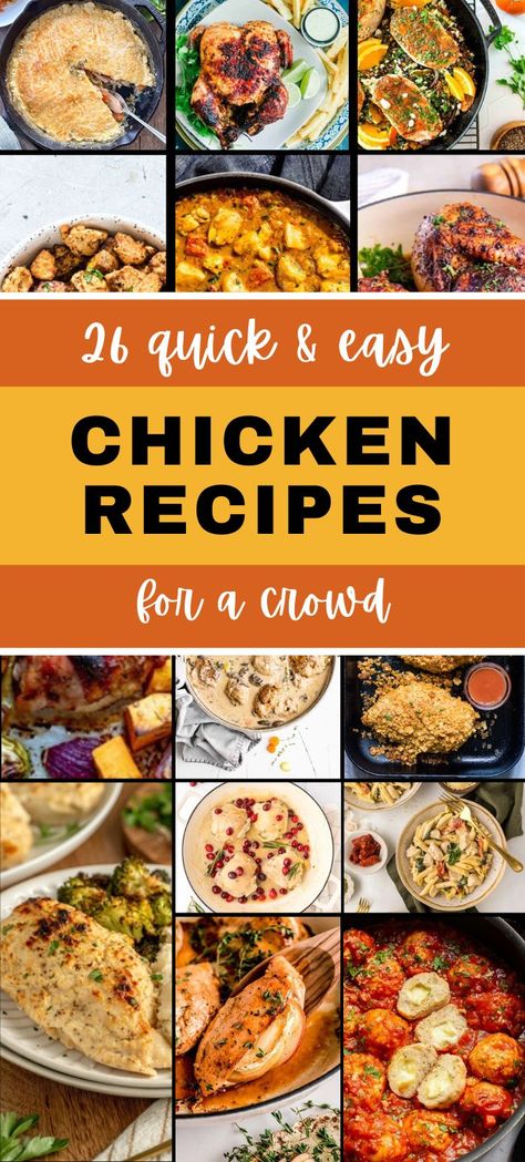 A vibrant Pinterest pin collage featuring a variety of chicken dishes perfect for feeding a crowd. The center text reads, "26 Crazy Chicken Recipes For A Crowd," in bold white letters with a black outline. The background images include baked chicken, roasted whole chicken, chicken casserole, and other delicious chicken recipes, ideal for potlucks, dinner parties, and large gatherings. Perfect for those seeking easy chicken recipes for a crowd! Chicken Recipes For Group, Chicken Dish For Potluck, Easy Dinners To Feed A Crowd, Chicken Recipes For Crowd, Chicken Potluck Dishes, Chicken For A Crowd Main Dishes, Potluck Chicken Recipes, Chicken Dishes For A Crowd, Healthy Meals For A Crowd