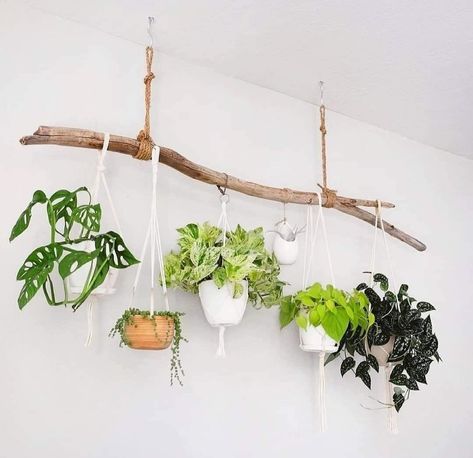 Hanging Plant Holders, Plants Hanging, Hanging Plant Holder, Hanging Plants Indoor, Deco Nature, Plant Ideas, Houseplants Indoor, Plant Decor Indoor, House Plants Decor