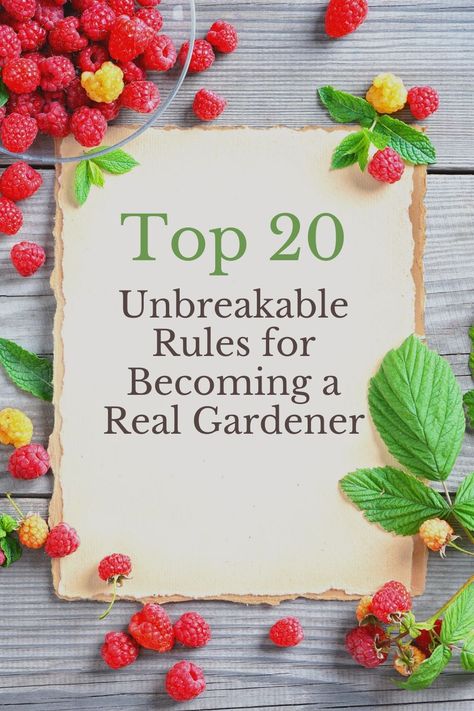 Garden Fun, Organic Compost, Master Gardener, How To Grow Taller, Vegetable Gardening, Bedding Plants, Plant Needs, Amazing Gardens, Mother Earth