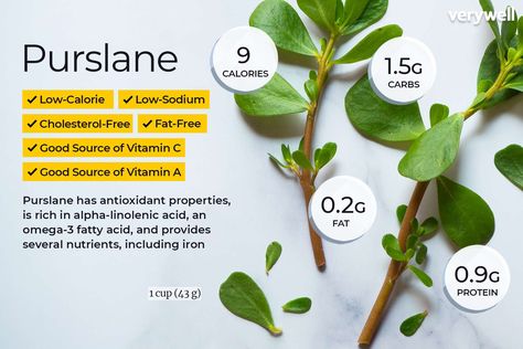 Purslane Nutrition Facts and Health Benefits Purslane Benefits, Magnesium Rich Foods, Plant Benefits, Magnesium Benefits, Sources Of Vitamin A, Chinese Herbs, Feeling Better, Food Facts, Eating Raw