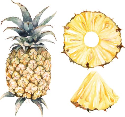 Watercolor pineapple set Pineapple Illustration Design, Pineapple Sketch, Fruit Watercolor Painting, Kitchen Painting Art, Pineapple Watercolor, Pineapple Vintage, Pineapple Drawing, Pineapple Illustration, Fruit Watercolor