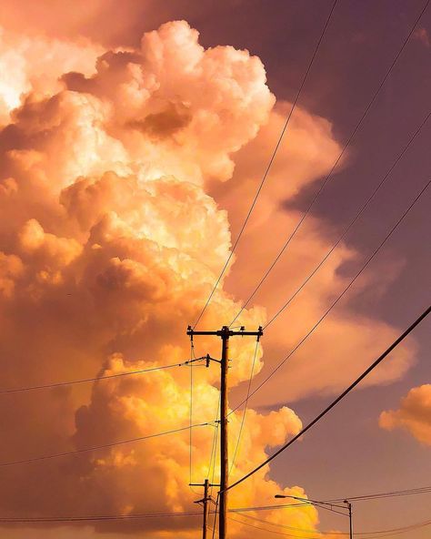 Aesthetic Sharer ZHR on Twitter: "Thomas Jordan… " Yellow Aesthetic Pastel, Peach Aesthetic, Power Lines, Have Inspiration, Orange Aesthetic, Orange Wallpaper, Wallpapers Iphone, Yellow Aesthetic, Bid Day