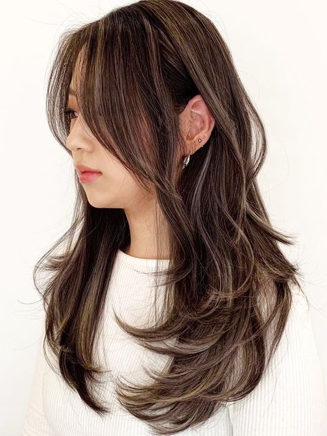 Asian Hair Trend 2023, Black Hair With Highlights Layers, Dye Hair For Black Hair, Brown Hair With Highlights Korean, Natural Asian Highlights, Korean Short Hair With Highlights, Highlights On Asian Black Hair, Partial Highlights Asian Hair, New Haircolor Ideas 2023