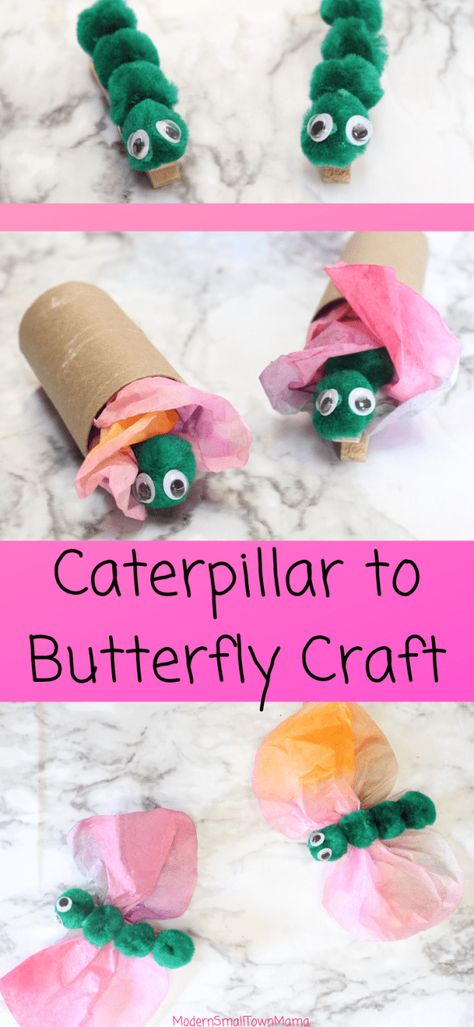 Craft Butterflies, Butterfly Crafts Preschool, Caterpillar To Butterfly, Butterfly Caterpillar, Bugs Preschool, Craft Preschool, Caterpillar Craft, Butterfly Craft, Insect Crafts