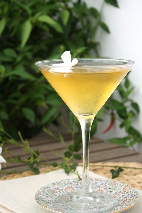 Golden Jasmine Martini – Cook Eat Live Vegetarian Floral Drink, Virgin Cocktails, Edible Flowers Recipes, Jasmine Plant, Jasmine Green Tea, Martini Recipe, Floral Cocktails, Jasmine Tea, Tea Cocktails