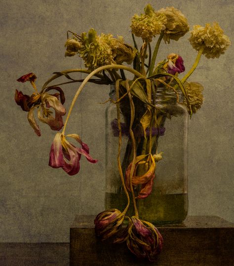 Italian Motifs, Goth Painting, Memento Mori Photography, Dead Nature, Flower Portfolio, Memento Mori Photos, Decay Art, Dead Flowers, Ib Art