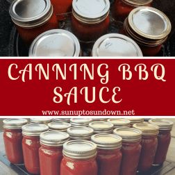 Fun Canning Recipes, Canning Gravy, Canning Bbq Sauce Water Bath, Canning Recipes Meals, Canned Bbq Sauce, Sauce Canning Recipes, Canning Bbq Sauce, Canning Sauces, Make Bbq Sauce