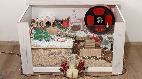 Hamster Cage Christmas Decor, Hamster Cage Setup, Hamster Christmas, Christmas Hamster, Pet Rodents, Hamster Stuff, Decorating A Christmas Tree, Diy Natal, Hamster House