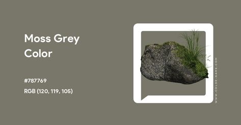 Moss Grey color hex code is #787769 Paint For Kitchen Walls, Split Complementary Colors, Rgb Color Wheel, Rainbow Palette, Grey Color Palette, Hex Codes, Hex Color Codes, Trellis Pattern, Ral Colours