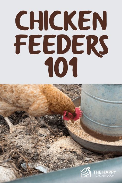 Hanging Feeder For Chickens, Best Chicken Feeders, Homemade Chicken Feeder, Feeding Chickens, Sustainable Farm, Types Of Chickens, Kitchen Scraps, Chicken Owner, Chicken Feeders