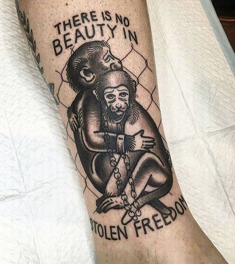 Liberation Tattoo, Animal Rights Tattoo, Vegan Tattoo, Vegan Party, Vegan Memes, Animal Liberation, Vegan Animals, Body Modifications, Animal Rights