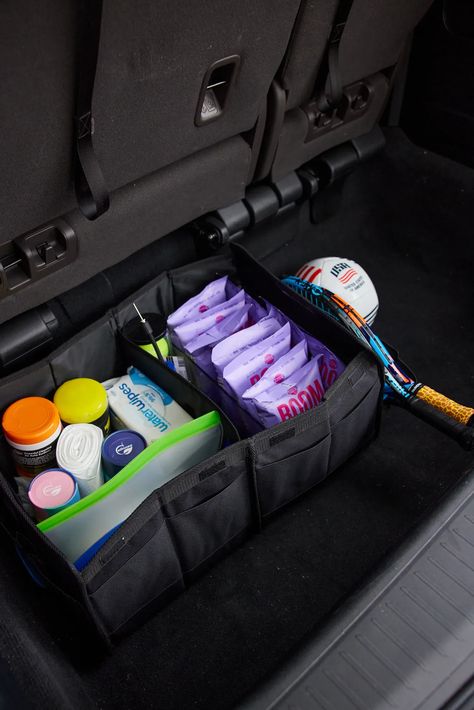 Backseat car organizer