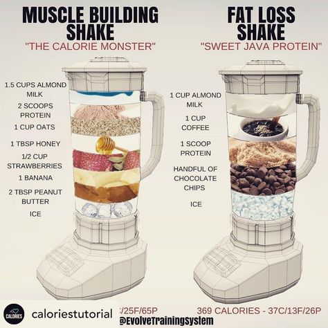 Shake It Up, Nutrition Sportive, Smoothie Detox, Detox Drinks Recipes, Muscle Gain, Banana Chocolate Chip, Shake Recipes, Muscle Building, Detox Smoothie