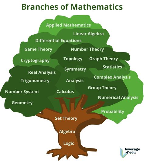 Branches Of Math, Branches Of Mathematics, Topology Mathematics, Mathematics Day, Math Rules, Maths Project, Math Classroom Posters, Science Exhibition, Group Theory