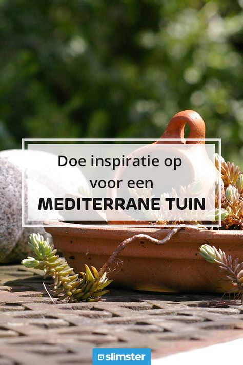 Wil je genieten van een tuin met een exotische uitstraling? Een mediterrane tuin met een ontwerp alsof je je in Spanje of een ander Zuid-Europees land waant is dan echt wat voor jou!  Op onze website lees je alles over de bestrating/tegels, planten, kleur, potten/plantenbakken en de aanleg van een mediterrane tuin. Doe ideeën op voor de beplanting en het design van een mediterrane tuin en kom vervolgens in contact met een professionele hovenier bij jou in de buurt.  #tuin #tuinaanleg Tropical Mediterranean Garden, Terraced Mediterranean Garden, Mediterranean Garden Uk Style, Majorelle Garden, Wild Mediterranean Garden, Patio Garden, Yard, Patio