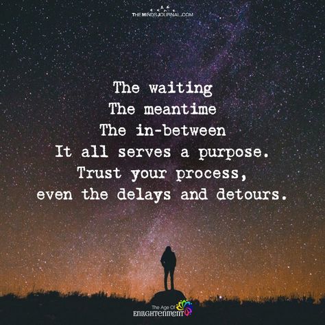 In The Meantime Quotes, Not Waiting Quotes, Everything Has A Purpose Quotes, What Is My Purpose Quotes, Purpose In The Waiting, In The Waiting Quotes, Quotes On Waiting, Wait Quotes, Life Purpose Quotes