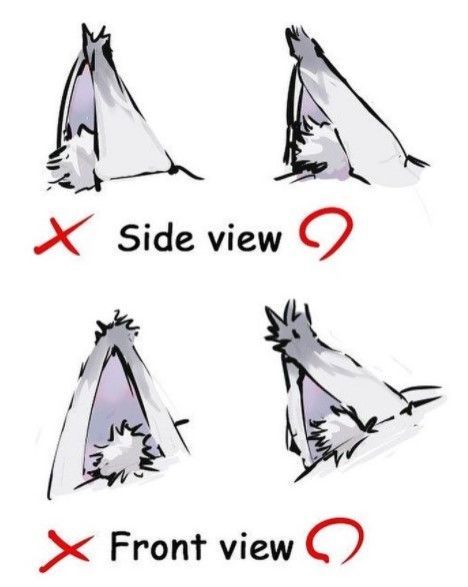 Wolf Ear Reference, Species Ref Sheet, Kitsune Ears Drawing, How To Draw Animal Ears On People, Animal Hand Drawing, How To Draw Wolf Ears, Fluffy Ears Drawing, How To Draw Dog Ears, How To Draw Animal Ears