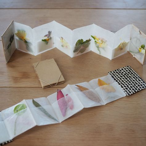 make your own: paper petal press. – Reading My Tea Leaves – Slow, simple, sustainable living. Library Take And Make Crafts, Mini Art Projects, Book Making Ideas, Tiny Scrapbook, Erin Boyle, Reading My Tea Leaves, Make Your Own Paper, My Tea, Handmade Books