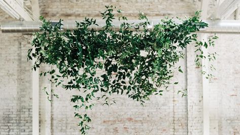 Hanging greenery makes for beautiful wedding reception ceiling decorations. Opt for suspended wreathes, garlands, or greenery chandeliers for your wedding Wedding Reception Ceiling Decor, Reception Ceiling Decor, Wedding Reception Ceiling, Greenery Installation, Ceiling Display, Reception Ceiling, Greenhouse Venue, Greenery Wall Decor, Green Tablescape