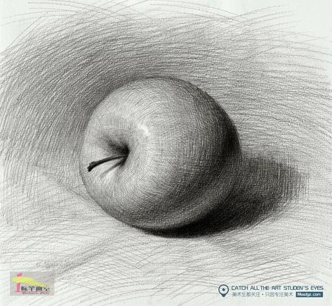 Value Drawing, Drawing Apple, Shading Drawing, Shadow Drawing, Sketching Tips, Realistic Pencil Drawings, Art Basics, Object Drawing, Perspective Art