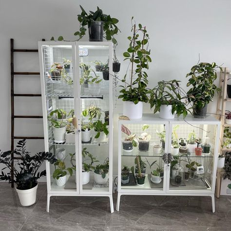 Indoor greenhouse room