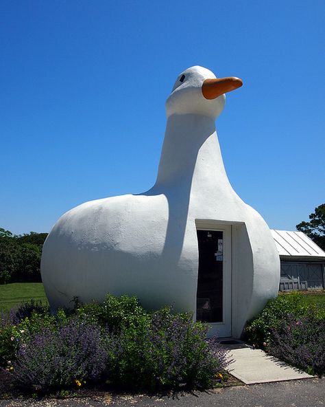 . Big Duck, Duck House, Architecture Books, Famous Landmarks, Environment Design, Some Girls, Cute Toys, Long Island, Park Slide