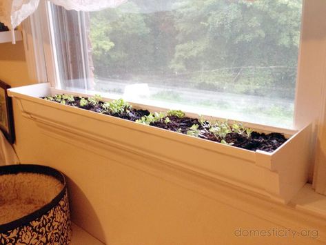 With summer coming to an end, I decided to start working on some indoor planters. After checking out the selection of various pots and window boxes at the home improvement store, I wound up with no... Diy Window Sill, Indoor Window Planter, Indoor Window Boxes, Window Sill Planter, Diy Window Box Planter, Diy Planters Indoor, Rockery Garden, Window Boxes Diy, Gutter Garden