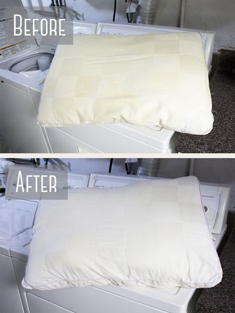 Learn how to wash pillows in your washing machine! Get rid of yellow stains, odors, dust, and dander for a better night's sleep! How To Wash And Whiten Yellowed Pillows, Clean Pillows Front Loader, How To Wash Bed Pillows In Washer, How To Wash A Pillow In The Washer, How To Get Rid Of Yellow Stains On White, How To Whiten Pillows, Cleaning Yellow Pillows, How To Wash Feather Pillows In Washer, Wash Pillows In Front Loader