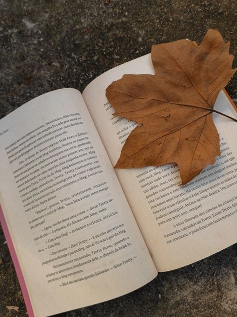 Book Wallpaper Aesthetic, Aesthetic Book Reading, Vintage Core, Book Wallpaper, Autumn Leaf, Book Reading, Vintage Color, Reading Book, The Bus