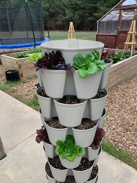 Self Watering Vertical Garden Diy, Herb Tower Vertical Planter, Plant Tower Vertical Planter, Vegetable Tower Garden, Tower Planter Ideas, Vertical Lettuce Garden, Grow Tower Garden, Diy Vertical Garden Tower, Garden Tower Diy Vertical Planter