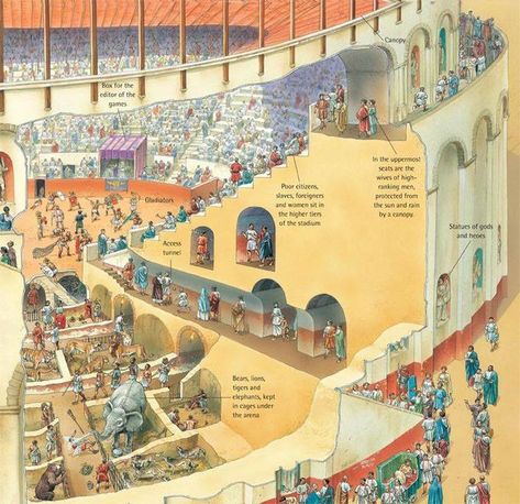 Cutaway Illustration, Roman Gladiators, Ancient Roman Architecture, Pompeii And Herculaneum, Roman Republic, Roman Era, Empire Romain, Rome Antique, Roman Architecture