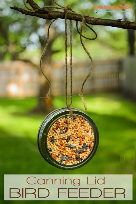 Mason Jar Lid Bird Feeder | Make this simple bird feeder inside of a canning lid. This is a great project to do with kiddos. Vacation Crafts, Mason Jar Lids Crafts, Jar Lid Crafts, Mason Jar Lid, Diy Hanging Shelves, Mason Jar Projects, Canning Lids, Diy Bird Feeder, Wine Bottle Diy Crafts