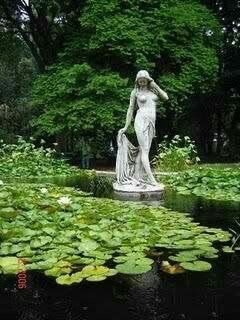 Looking To Pinterest For Inspiration: Views Of Social Distancing & Face Masks A Pond, Garden Statues, Nature Aesthetic, Water Lilies, Green Aesthetic, Water Garden, Dream Garden, Lily Pads, Water Features