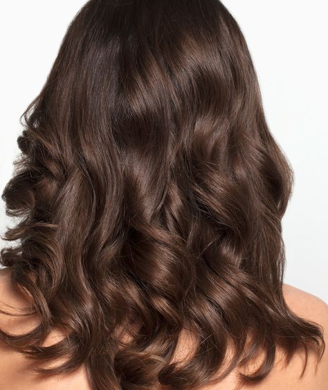 Coffee Brown Hair, Brown Hair Trends, Coffee Hair, Brown Hair Shades, Mushroom Brown, Brown Hair Looks, Fall Hair Color Trends, Latest Hair Color, Chocolate Brown Hair