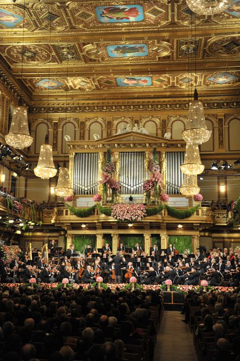 GREAT PERFORMANCES: The New Year’s Celebration 2013 Ch. 5.1: Tuesday 1/1 8:30pm Stage and screen legend Julie Andrews returns for the fourth time to host the festive annual New Year’s celebration with the Vienna Philharmonic, under the direction of Franz Welser-Möst from Vienna’s Musikverein. http://www.pbs.org/wnet/gperf/episodes/from-vienna-the-new-year%E2%80%99s-celebration-2013/about-the-concert/1478/ Vienna Orchestra, Behind Every Successful Man, Deauville France, Travel Austria, New Year Concert, Vienna Philharmonic, Auld Lang Syne, Julie Andrews, European Destinations