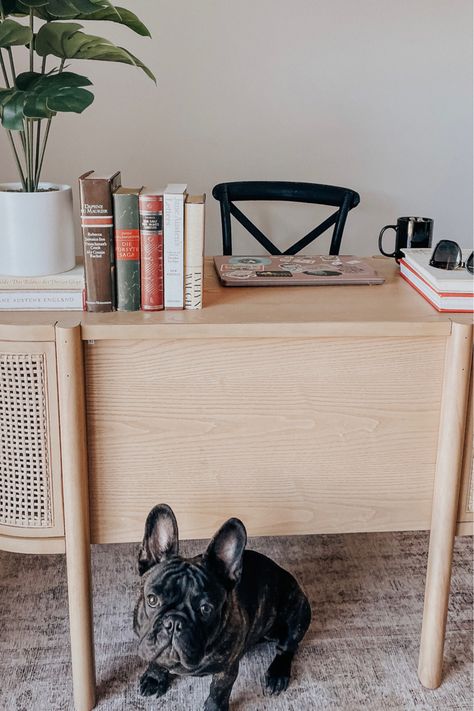 Studio McGee Portola cane desk, French bulldog, bistro rattan chair, faux monstera plant Office Studio Mcgee, Cane Desk, Home Office Studio, Feminine Home Offices, Modern Office Design, Monstera Plant, Studio Mcgee, Home Office Space, Rattan Chair