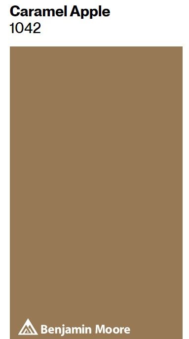 Benjamin Moore Caramel Apple 1042 paint color swatch. #caramelpaintcolor #benjaminmoorecaramelapple Burnt Sienna Paint Color, Benjamin Moore Coriander Seed, Caramel Paint Color, Copper Colour Palette, French Country Paint Colors, Country Paint Colors, Reno House, Acorn Painting, Warm Neutral Paint Colors