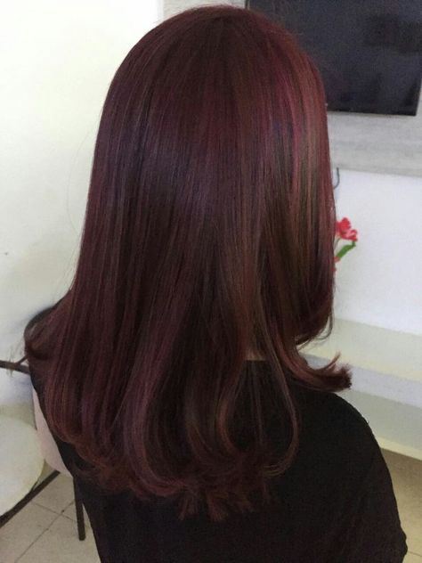 Dark Cherry Hair, Aesthetic Face, Wine Red Hair, Red Hair Inspo, Wine Hair, Cherry Hair, Hair Tint, Dark Red Hair, Hair Color Auburn