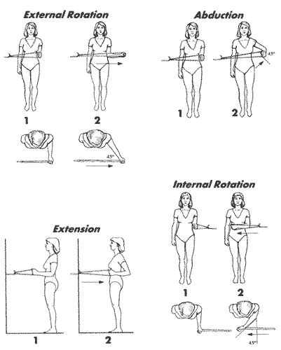 basic four rotator cuff exercises Scapulohumeral Rhythm, Rotator Cuff Injury Exercises, Scapula Exercises, Frozen Shoulder Exercises, Shoulder Rehab Exercises, Rotator Cuff Exercises, Shoulder Pain Exercises, Shoulder Rehab, Shoulder Impingement